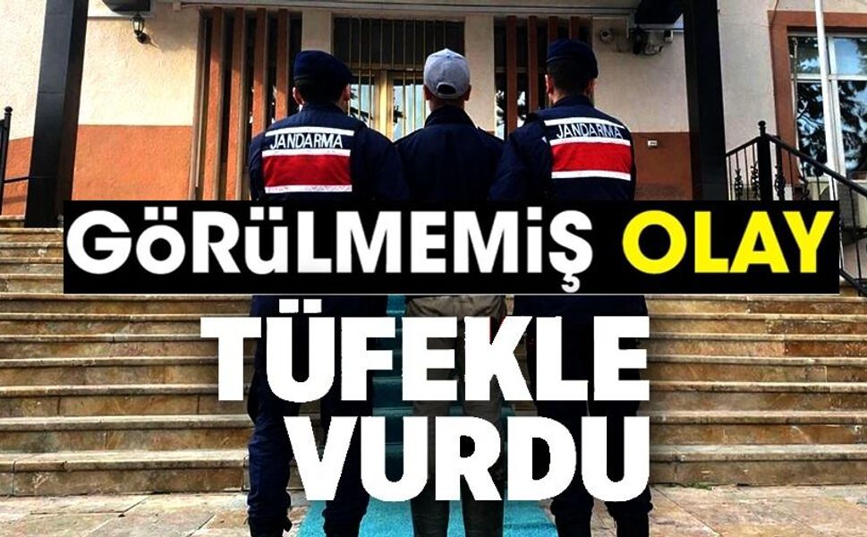 KENDİSİNE SALDIRAN KÖPEKLERİN SAHİBİNİ VURAN 17 YAŞINDAKİ ŞÜPHELİ TUTUKLANDI