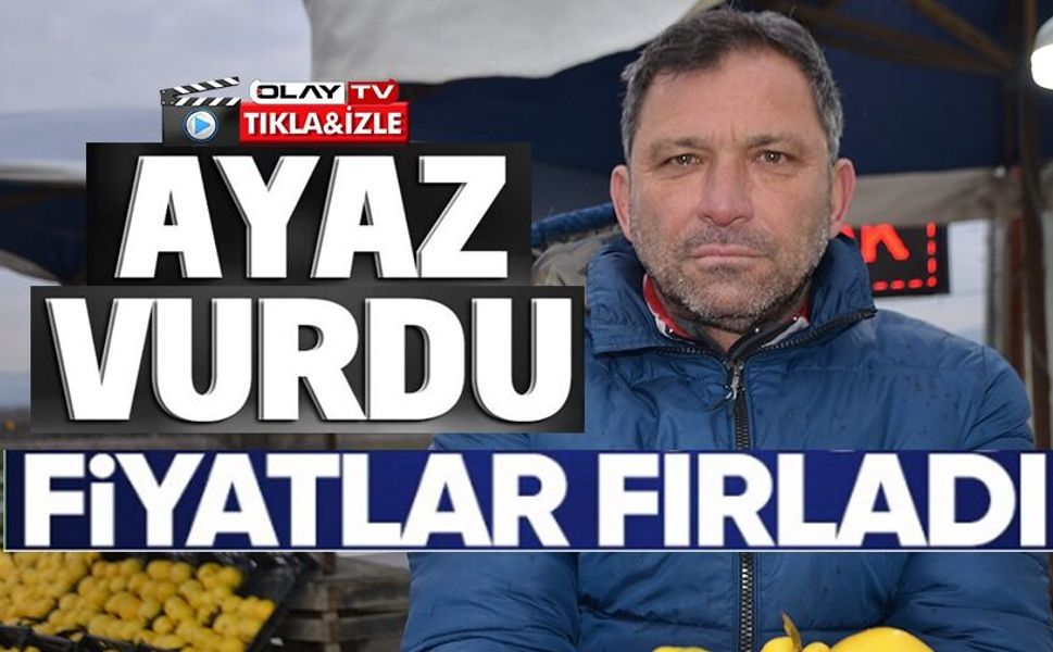 AYVAYI BU SENE AYAZ VURDU, FİYATLAR FIRLADI