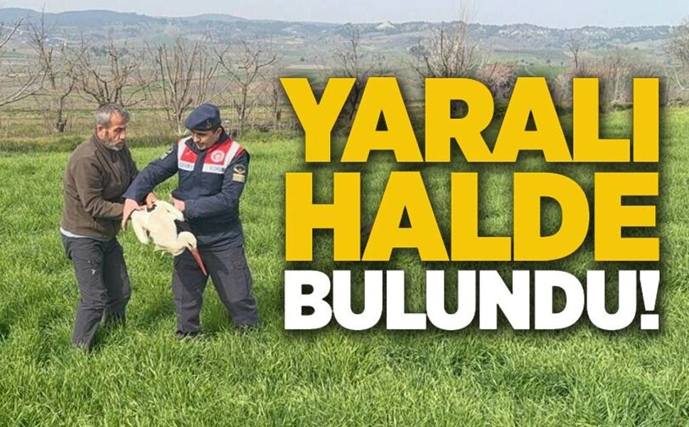 YARALI LEYLEK YETKİLİLERE TESLİM EDİLDİ