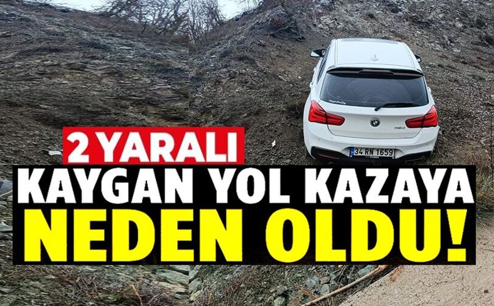KAYGAN YOL KAZAYA SEBEP OLDU : 2 YARALI