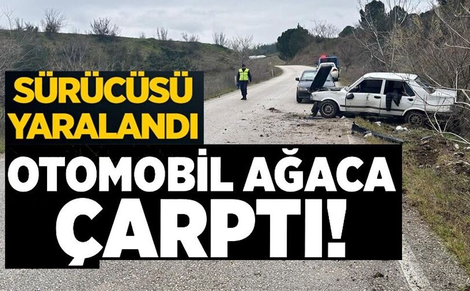 DİREKSİYON HAKİMİYETİNİ KAYBEDEN SÜRÜCÜ AĞACA ÇARPTI: 1 YARALI