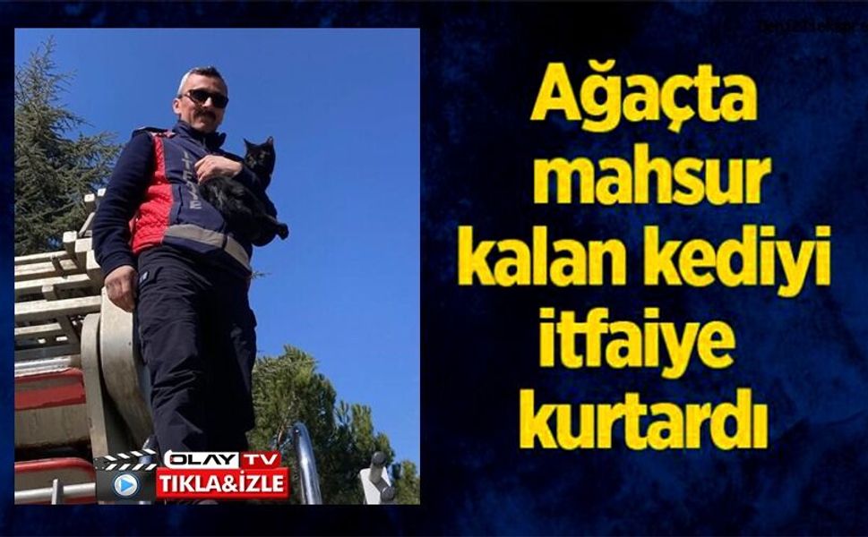 AĞAÇTA KALAN KEDİYİ İTFAİYE KURTARDI