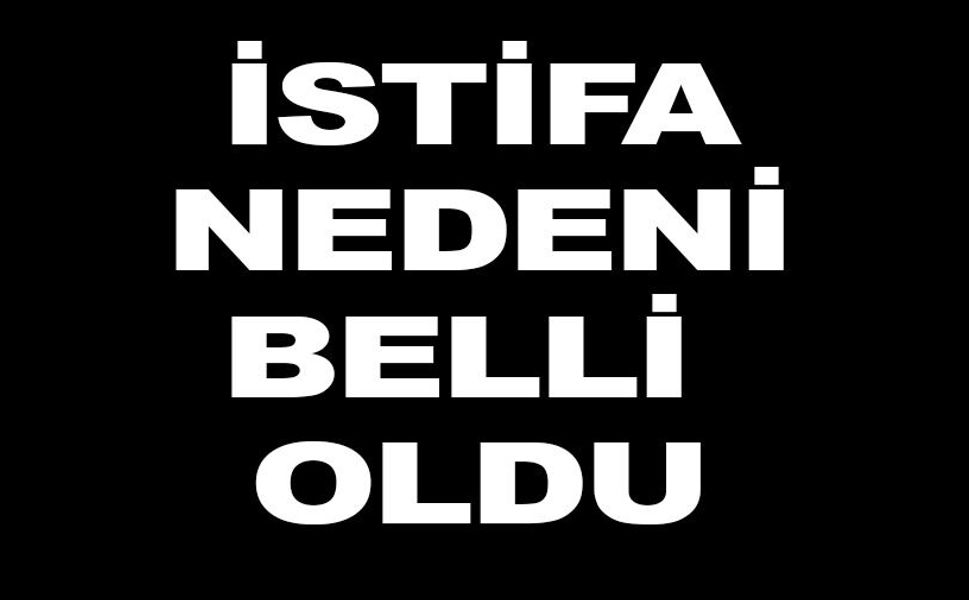 CHP’Lİ MECLİS ÜYESİ NEVİN TAN İSTİFA GEREKÇESİNİ AÇIKLADI
