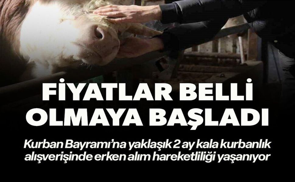 FİYATLAR BELLİ OLMAYA BAŞLADI