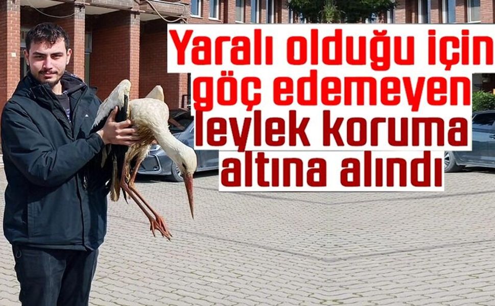 YARALI LEYLEK KORUMA ALTINA ALINDI