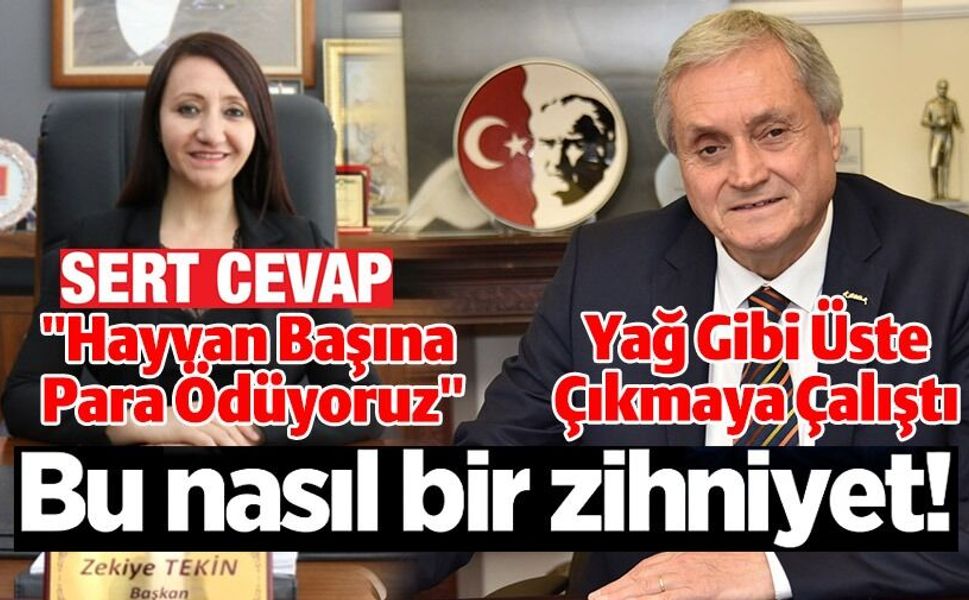 BAŞKAN TEKİN'DEN BAŞKAN BAKKALCIOĞLU SERT CEVAP