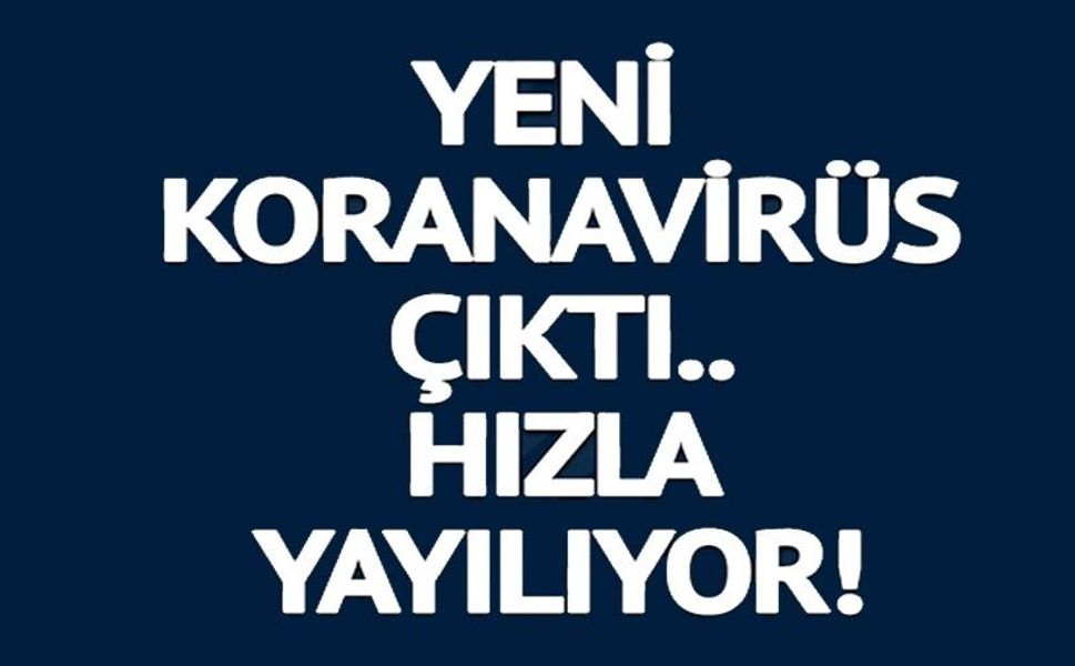 KORONAVİRÜSTE YENİ VARYANT ENDİŞESİ