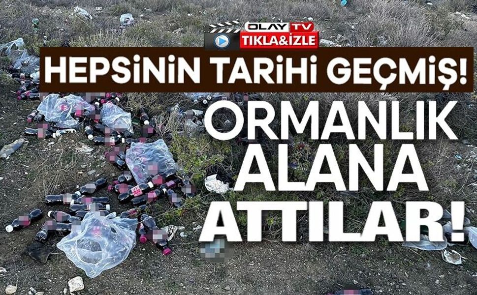 TARİHİ GEÇMİŞ YÜZLERCE ŞALGAM SUYU ŞİŞESİNİ ORMANLIK ALANA ATTILAR