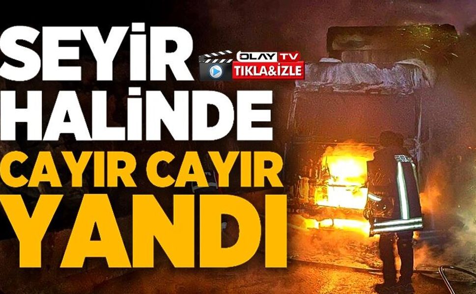 SEYİR HALİNDEKİ TIR BİR ANDA ALEV ALDI