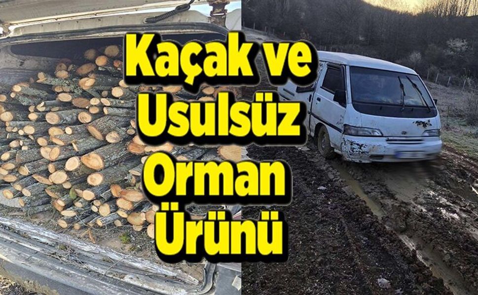 DURDURULAN ARAÇTA KAÇAK KESİLDİĞİ BELİRLENEN 4 STER ODUN ELE GEÇİRİLDİ