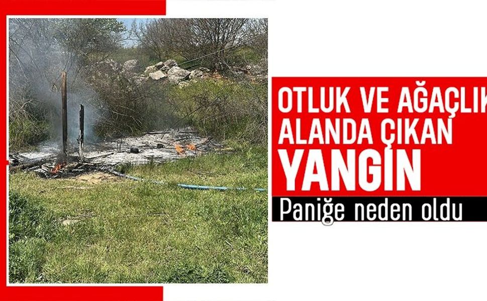 OTLUK ALANDA ÇIKAN YANGIN KORKUTTU