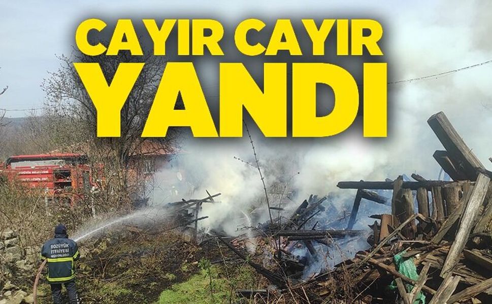 ARAÇ YANGINI ODUNLUĞA SIÇRADI