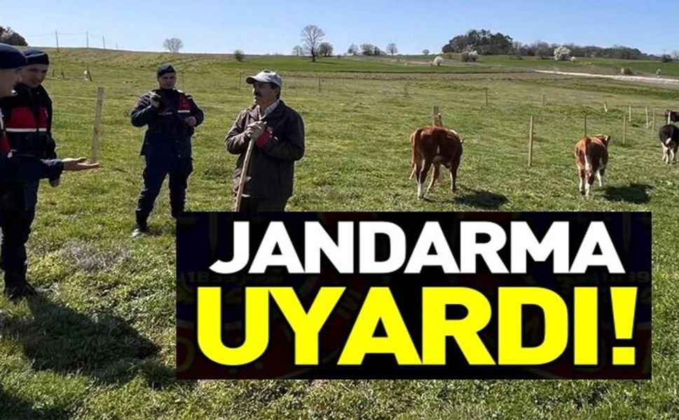 HAYVAN HIRSIZLIĞI VE DOLANDIRICILIK UYARISI