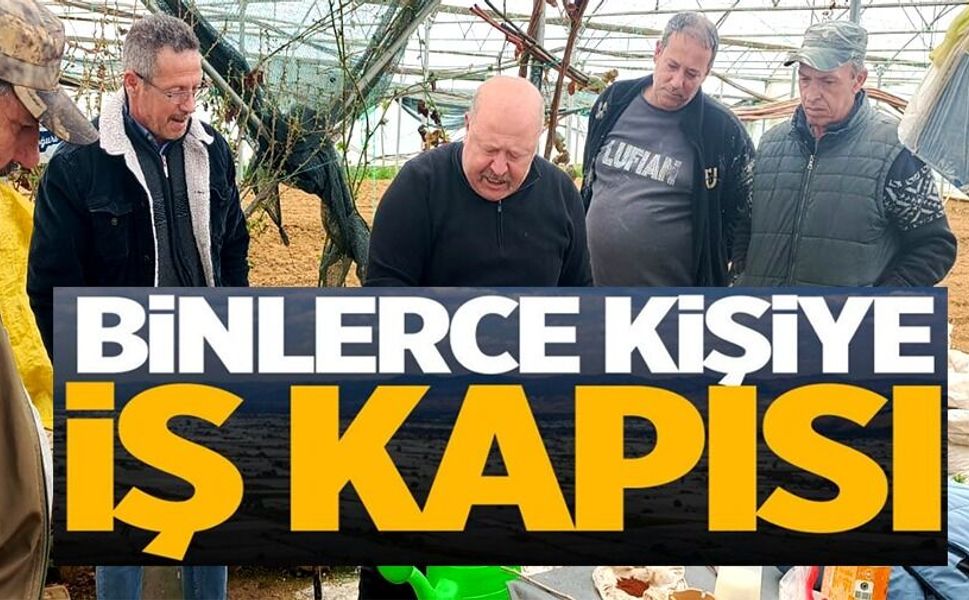 TÜTÜN PAZARYERİ'NİN GEÇİM KAPISI OLUYOR