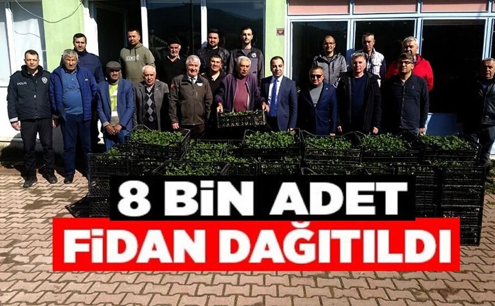 8 BİN ÇİLEK FİDESİ ÜRETİCİYLE BULUŞTU