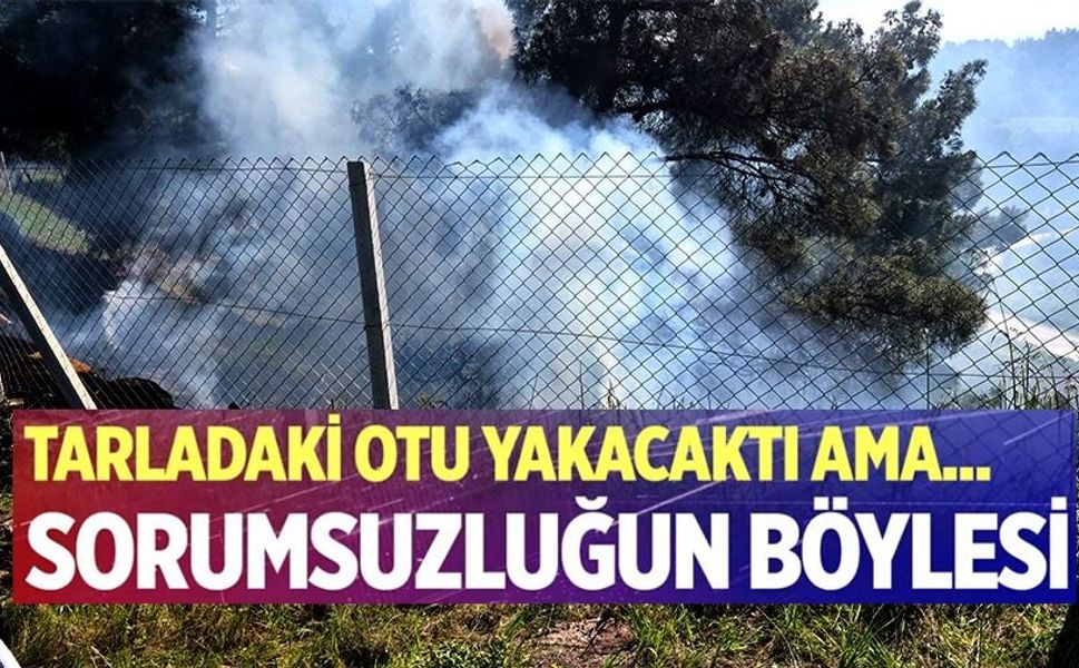 TARLASINDAKİ OTLARI TEMİZLERKEN ORMANLIK ALANI YAKTI