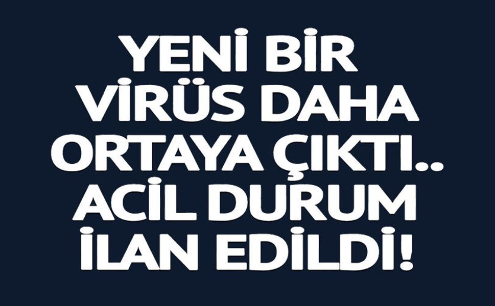 YENİ BİR VİRÜS DAHA ORTAYA ÇIKTI