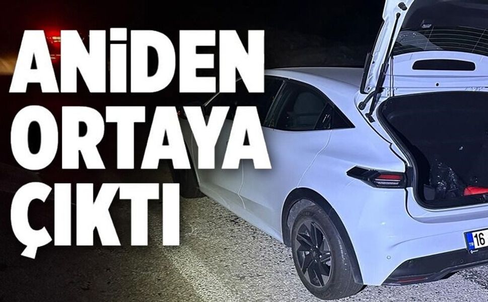 ÖNÜNE ANİDEN ÇIKAN KÖPEĞE DURAMAYARAK ÇARPTI
