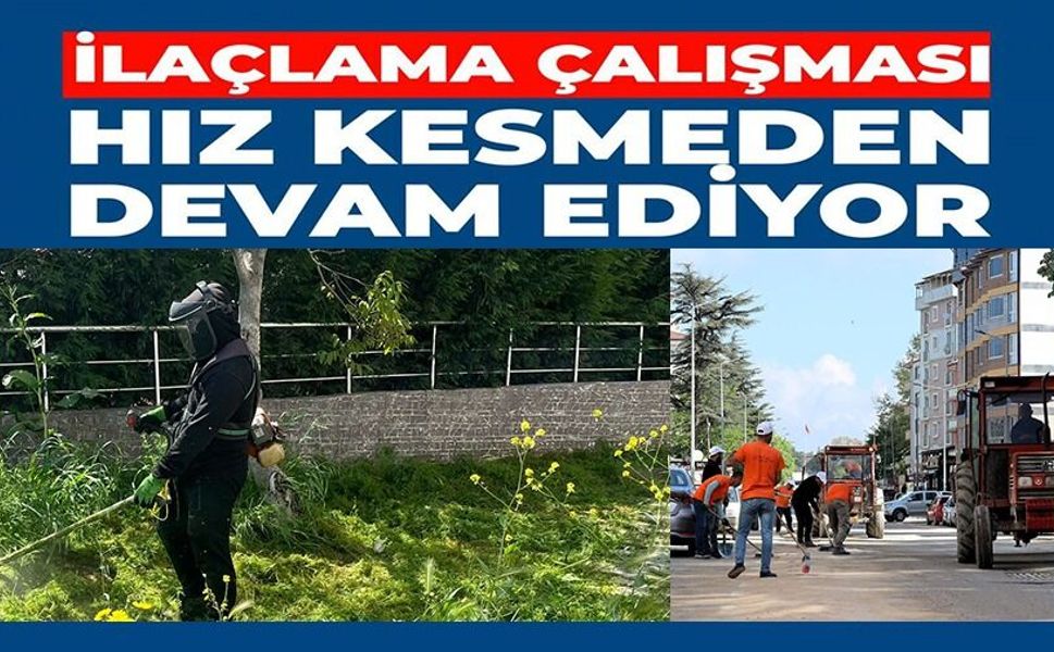 ÇİM BİÇME VE İLAÇLAMA ÇALIŞMALARI HIZ KAZANDI